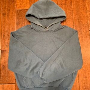 Aritzia Super Fleece Hoodie